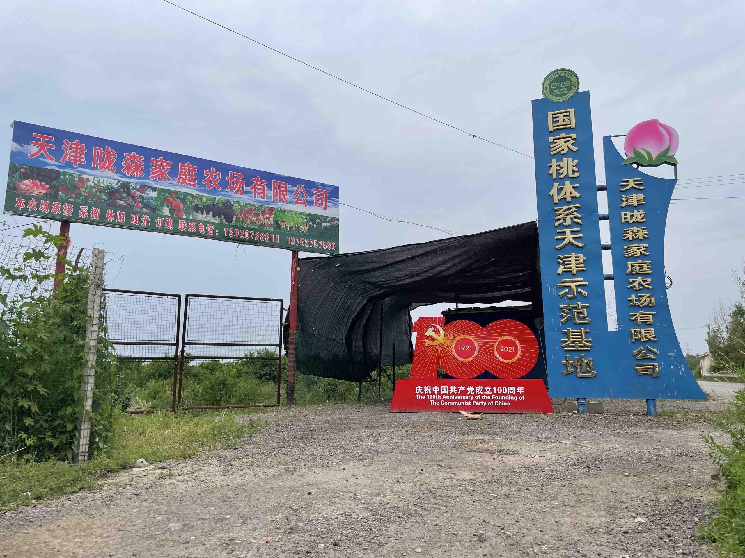 案例